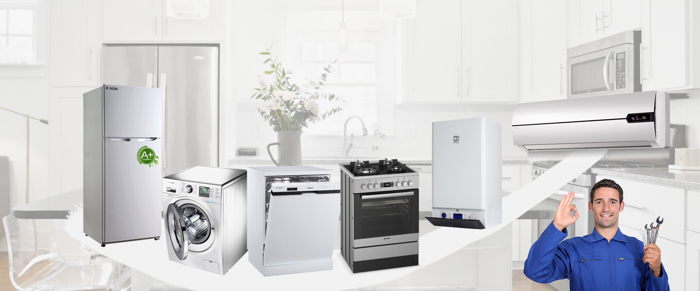 Iğdır Gorenje Servisi